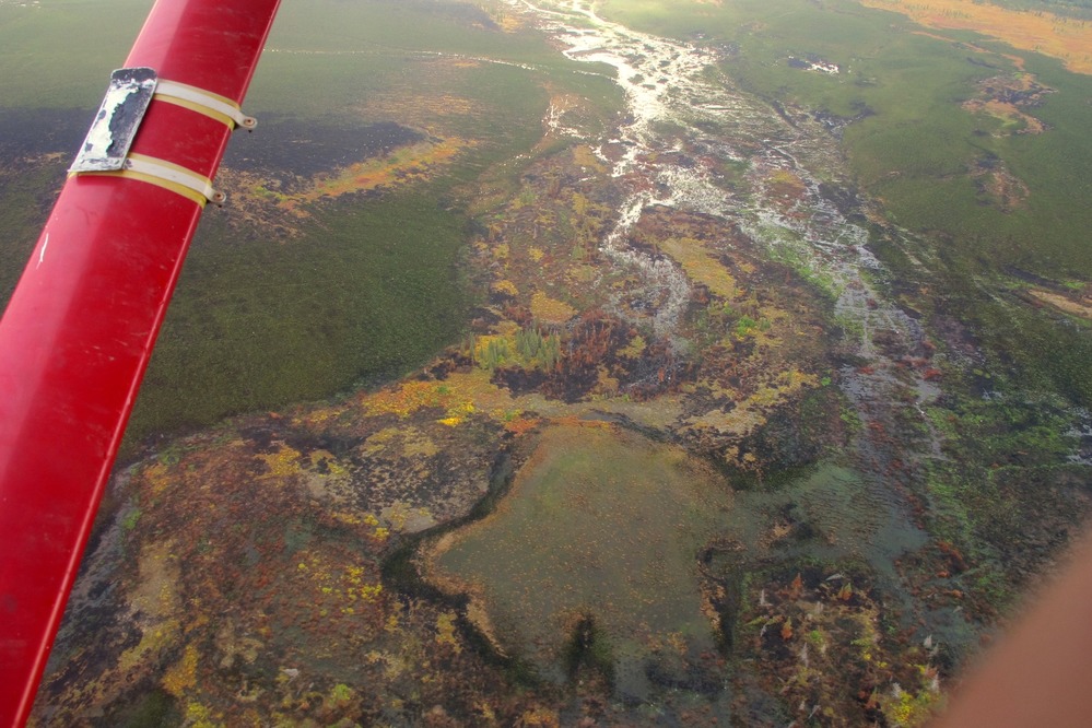 Subtle differences in soil and moisture result in a colorful array of different plant life