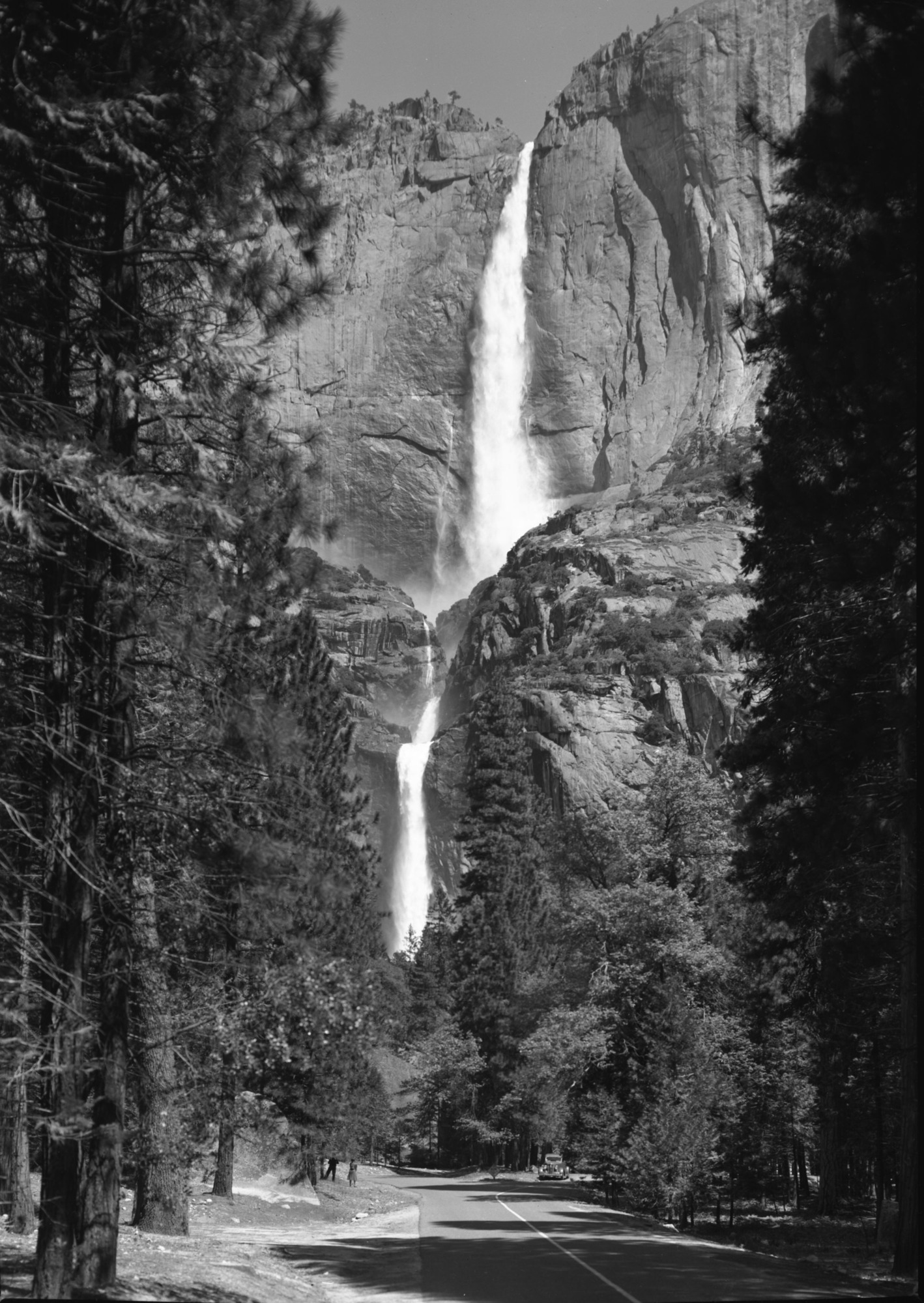 Fall from loop road.