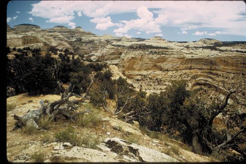 Rivers and canyon scenes at Dinosaur National Monument, Colorado and Utah