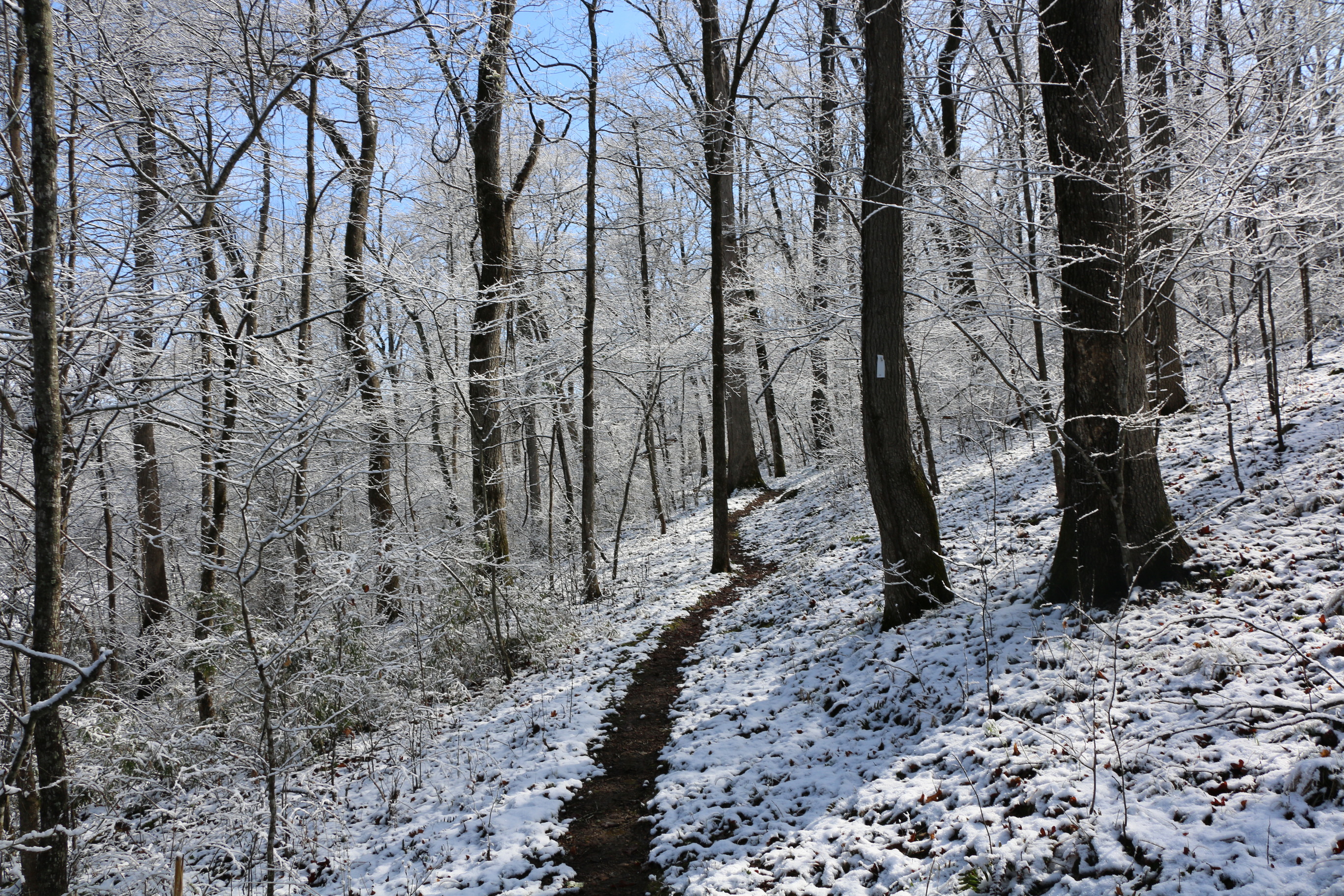 The Buffalo River Trail traverses a snowy forest