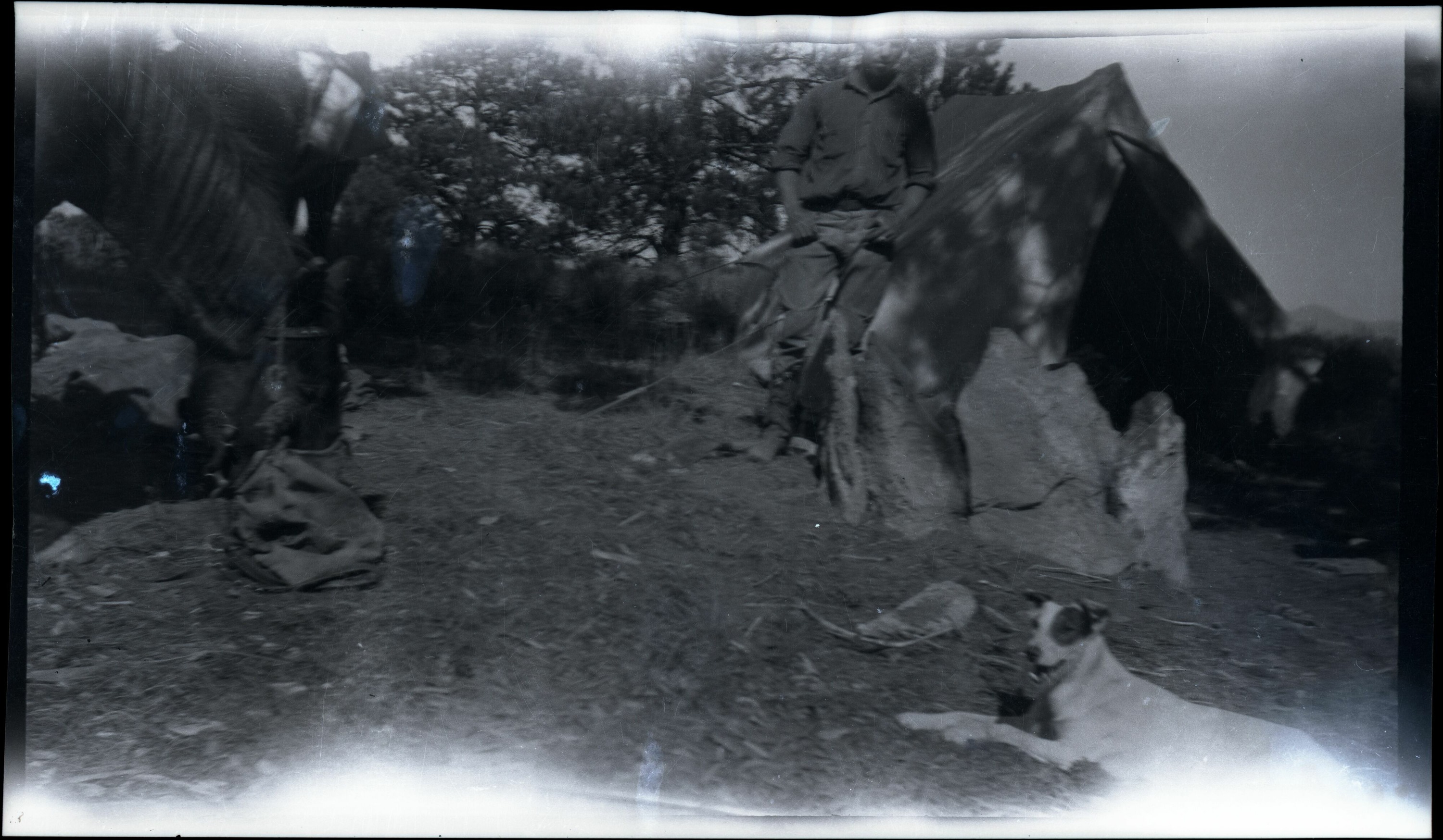 BRCA Museum and Archives Image