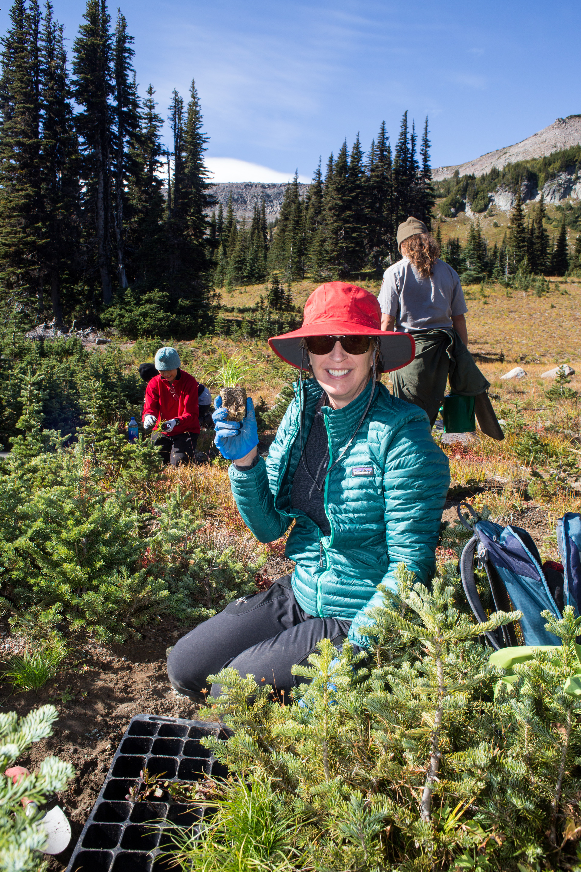 A woman kneeling in an alpine meadow wearing sunglasses and a sun hat holds up a plant start while people plant plants in the background. 