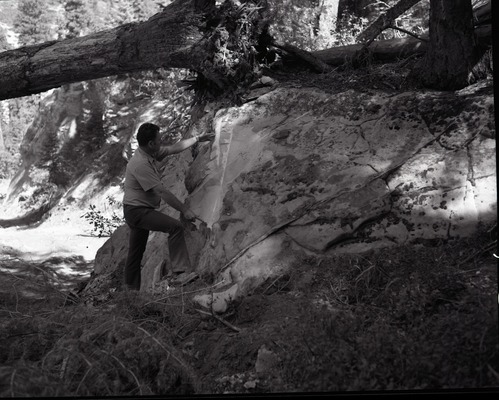Dirt road from Potato Hollow to Kolob Creek bulldozer blade scar on sandstone.