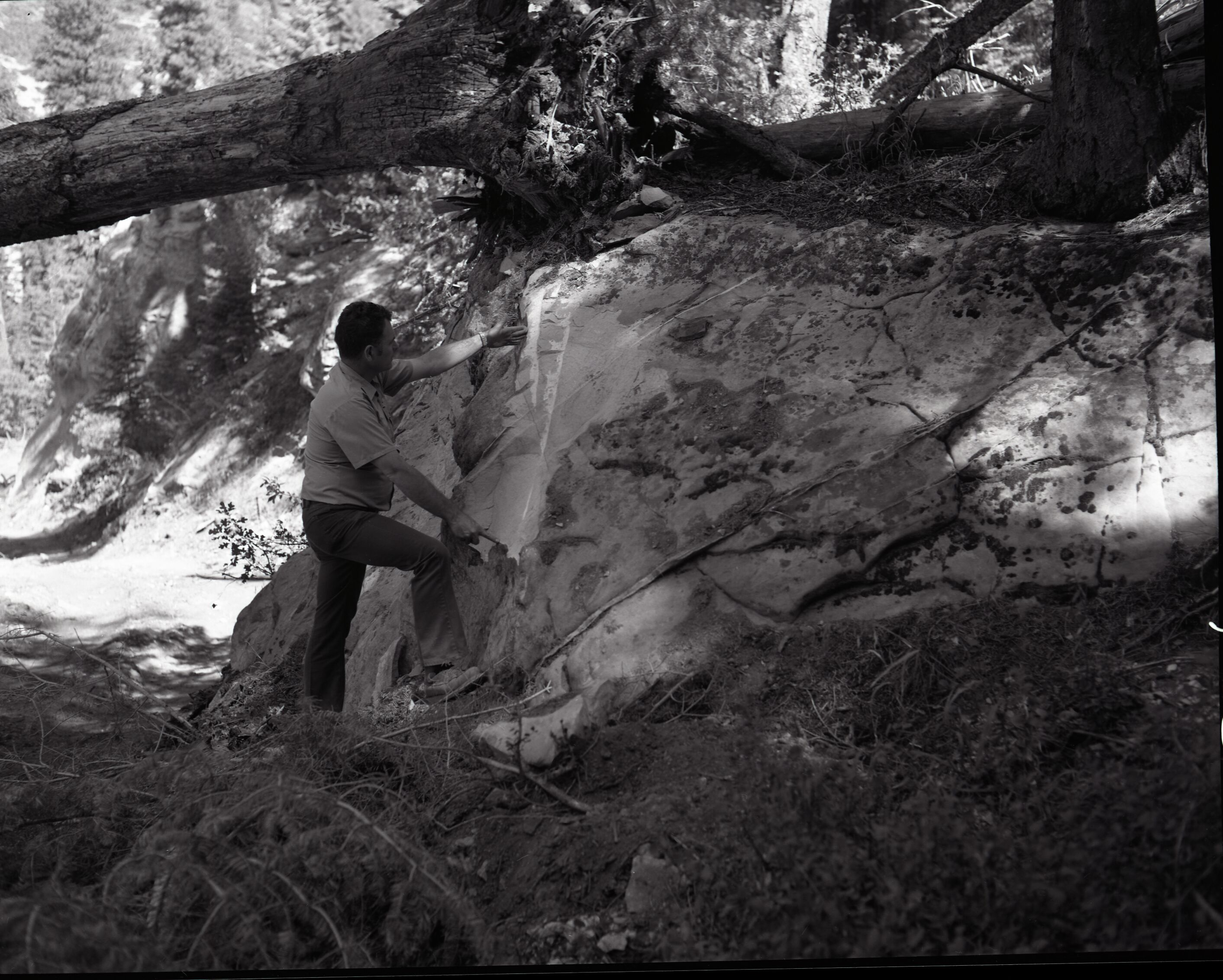 Dirt road from Potato Hollow to Kolob Creek bulldozer blade scar on sandstone.