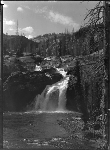 White Cascade above Glen Aulin.