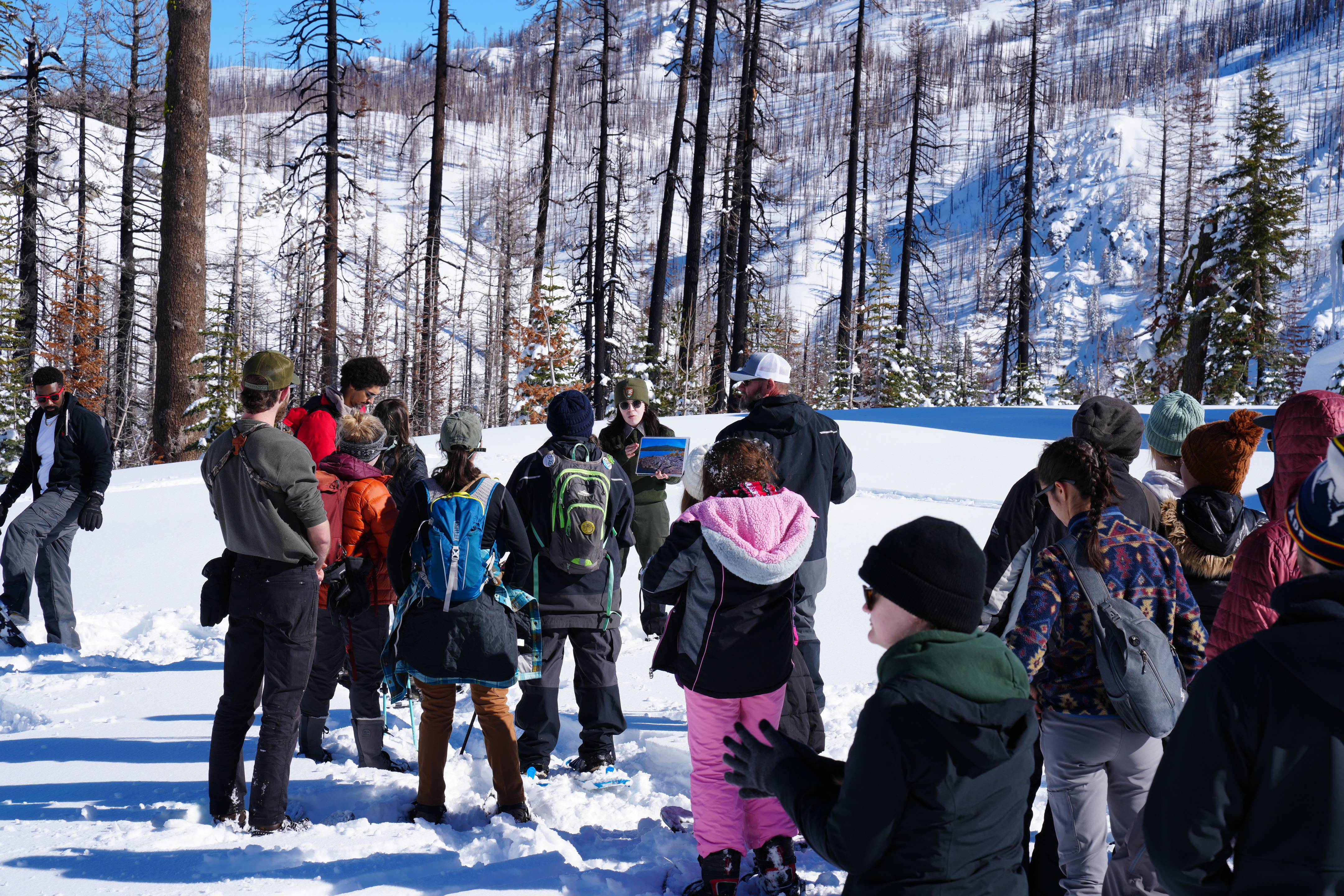 Ranger holds up an image to a crowd of visitors on a snowshoe program.