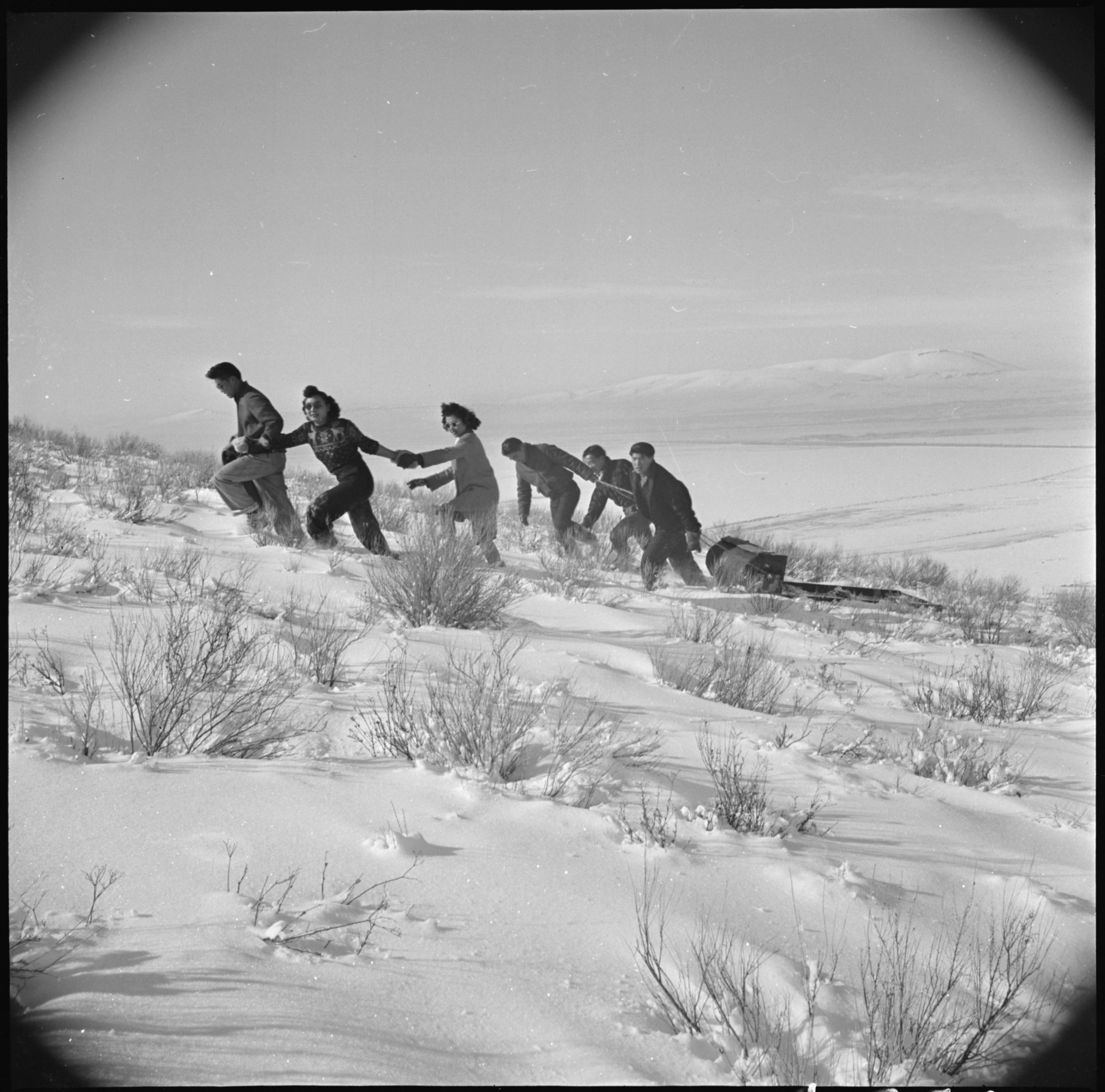 A pleasant Sunday afternoon's recreation is spent by evacuee winter sports enthusiasts, on the slopes of Castle Mountain. Homemade sleds and various other homemade pieces of equipment were used by these young people