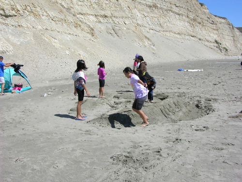 2014 Sand Sculpture Contest: Adult/Family Group Entry #04: Molokini Wildlife, by Tina Huang and Cindy Lu