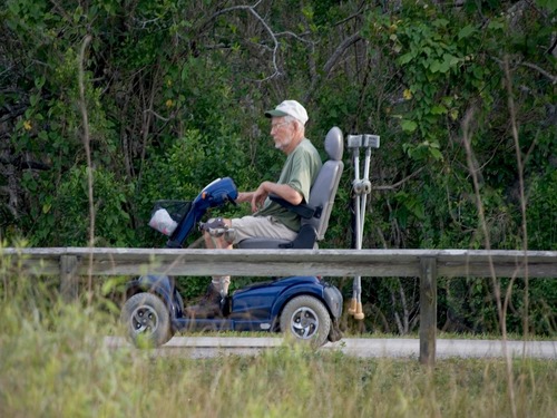 Visitor utilizing one of Everglades National Park's accessible trails