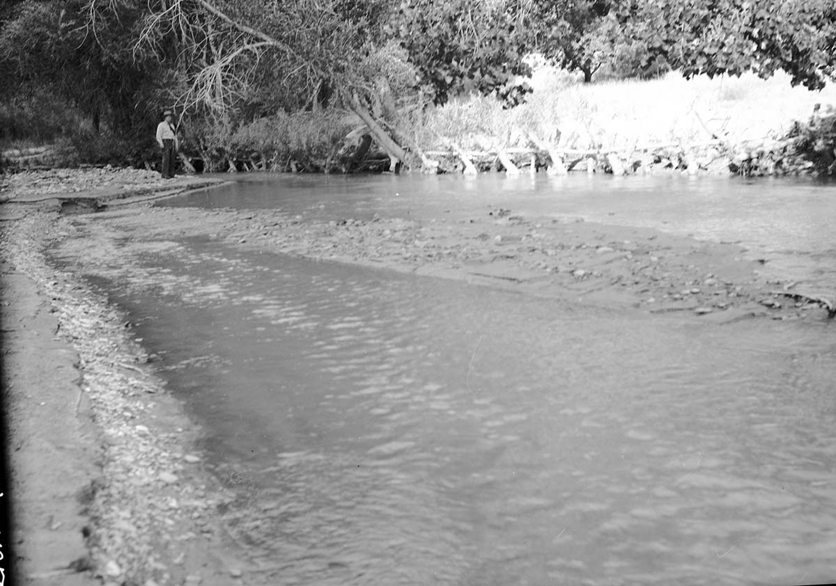 Willow 'spiders,' for stream bank protection, east bank of Virgin River near Three Patriarchs.
