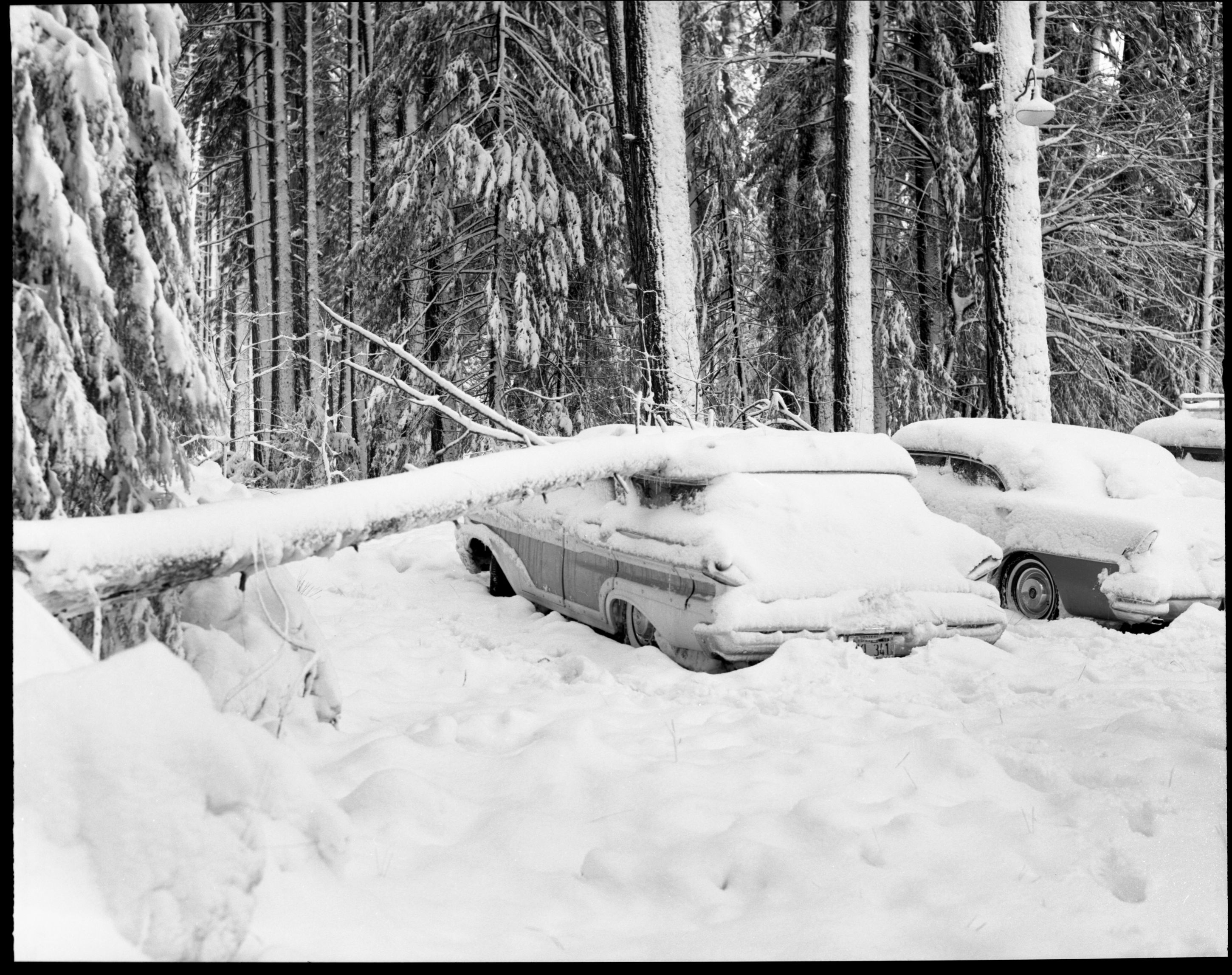 Snow scene - Yosemite Valley.