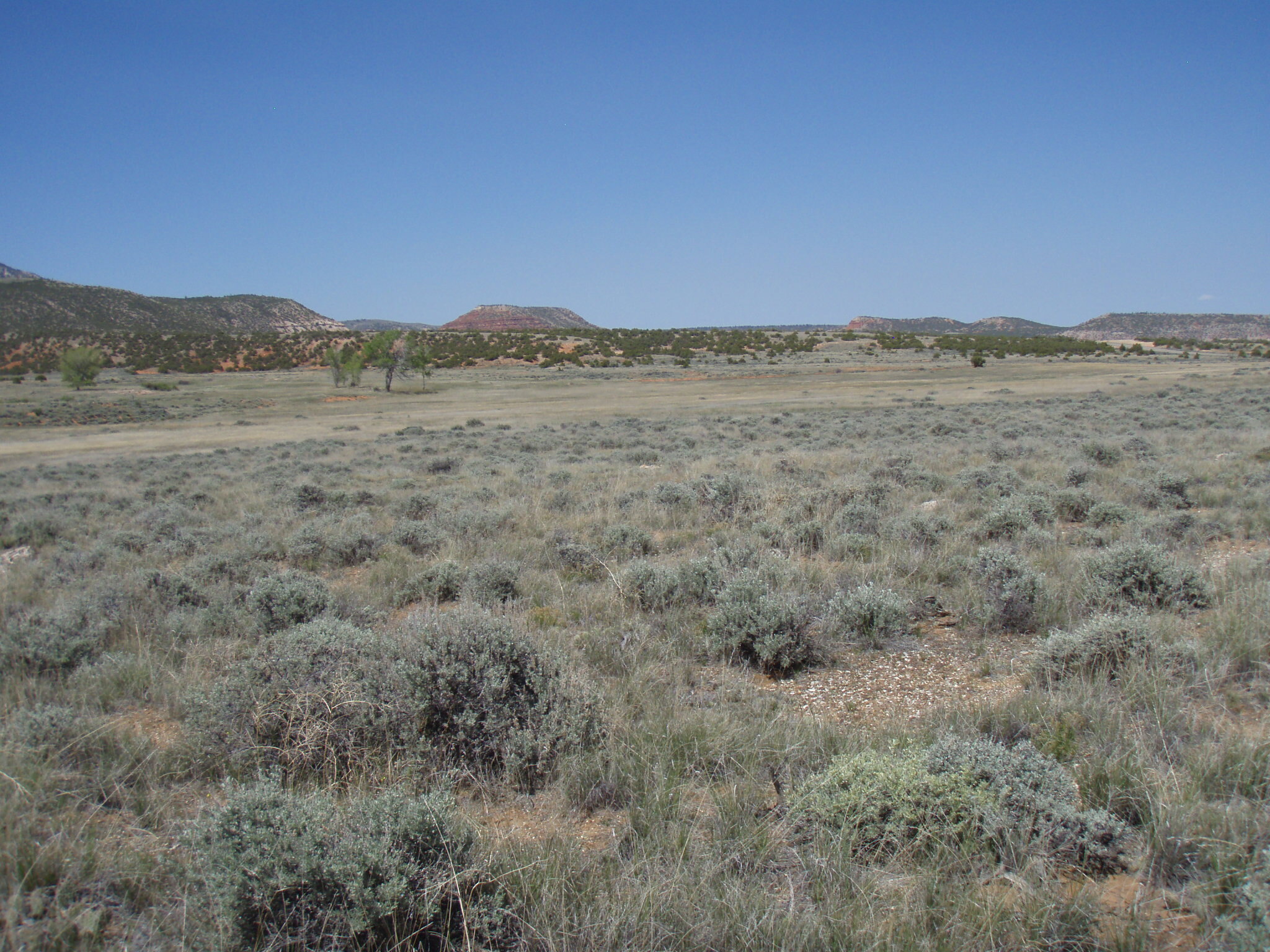 Image of the vegetation and landscape at photo point in Bighorn Canyon NRA 