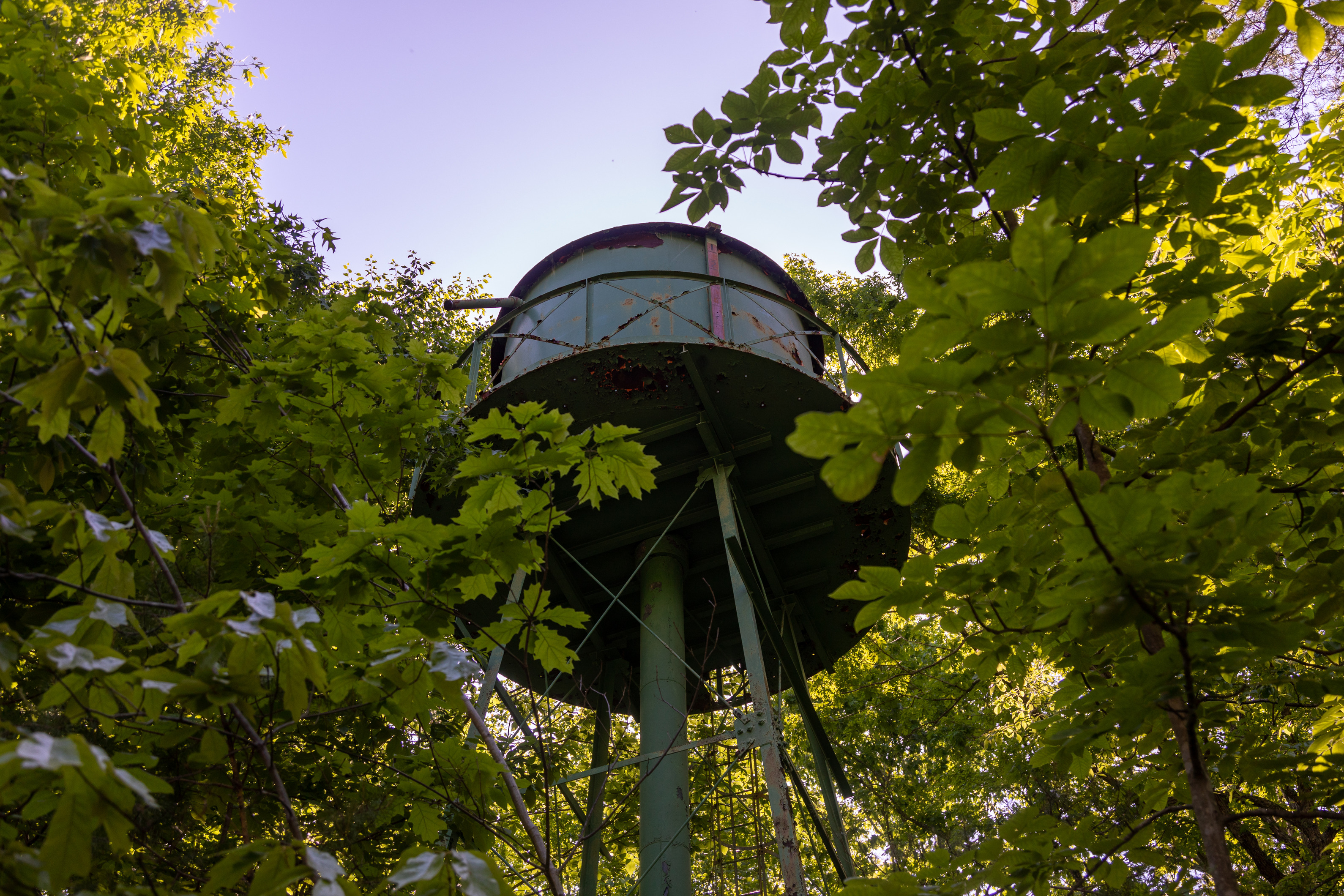 An army green water tower, rusting brown in certain spots, rises among tall green trees. Behind it, the sky is blue.