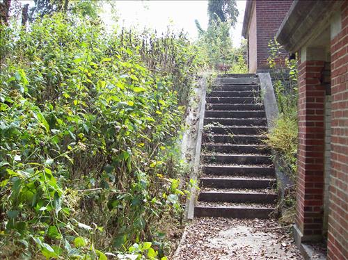 FOWA-Existing Conditions at Fort Washington Park, October 15, 2008