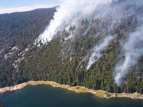 Eleanor Wildland Fire, August-September 1999, Yosemite National Park