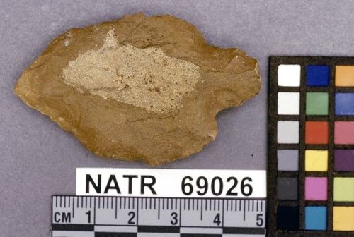 NATR   69026 -- Ledbetter Cluster projectile point