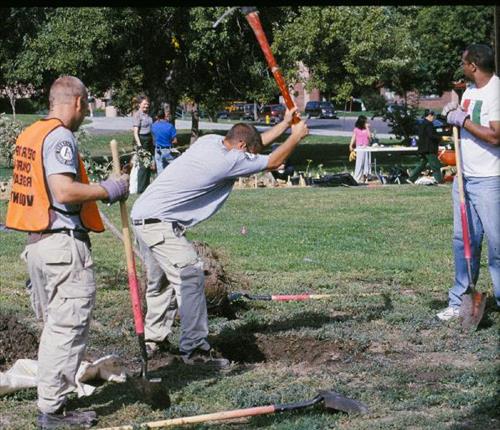 Native vegetation restoration, Sun Valley Neighborhood, Denver