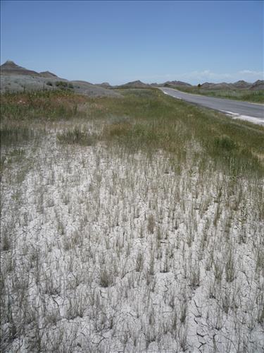 BADL-Conata-Road-Culverts-Drainage-Ditches