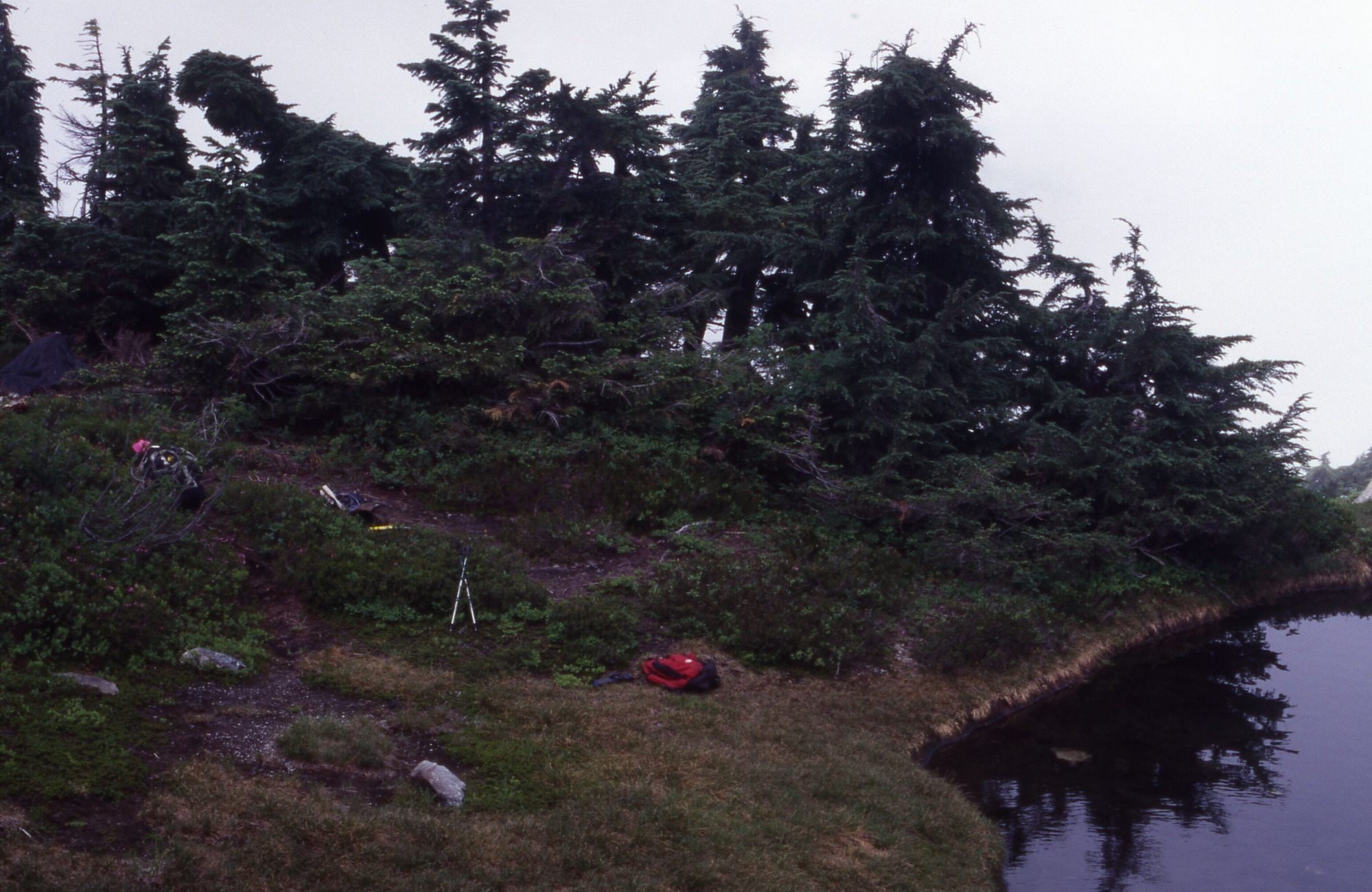 Two trails strewn with backpacks and other gear leading to a large patchy area of grass bordered by trees and shrubs next to a pond.