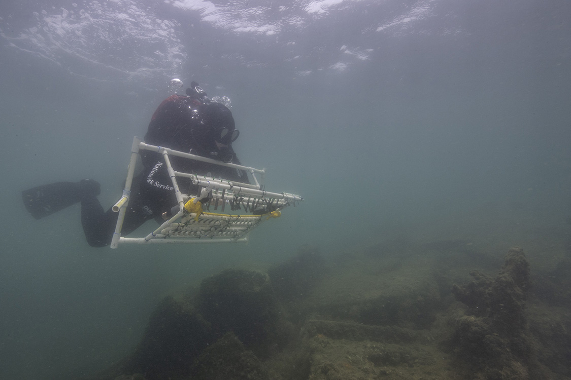 Corrosion testing at the USS Arizona