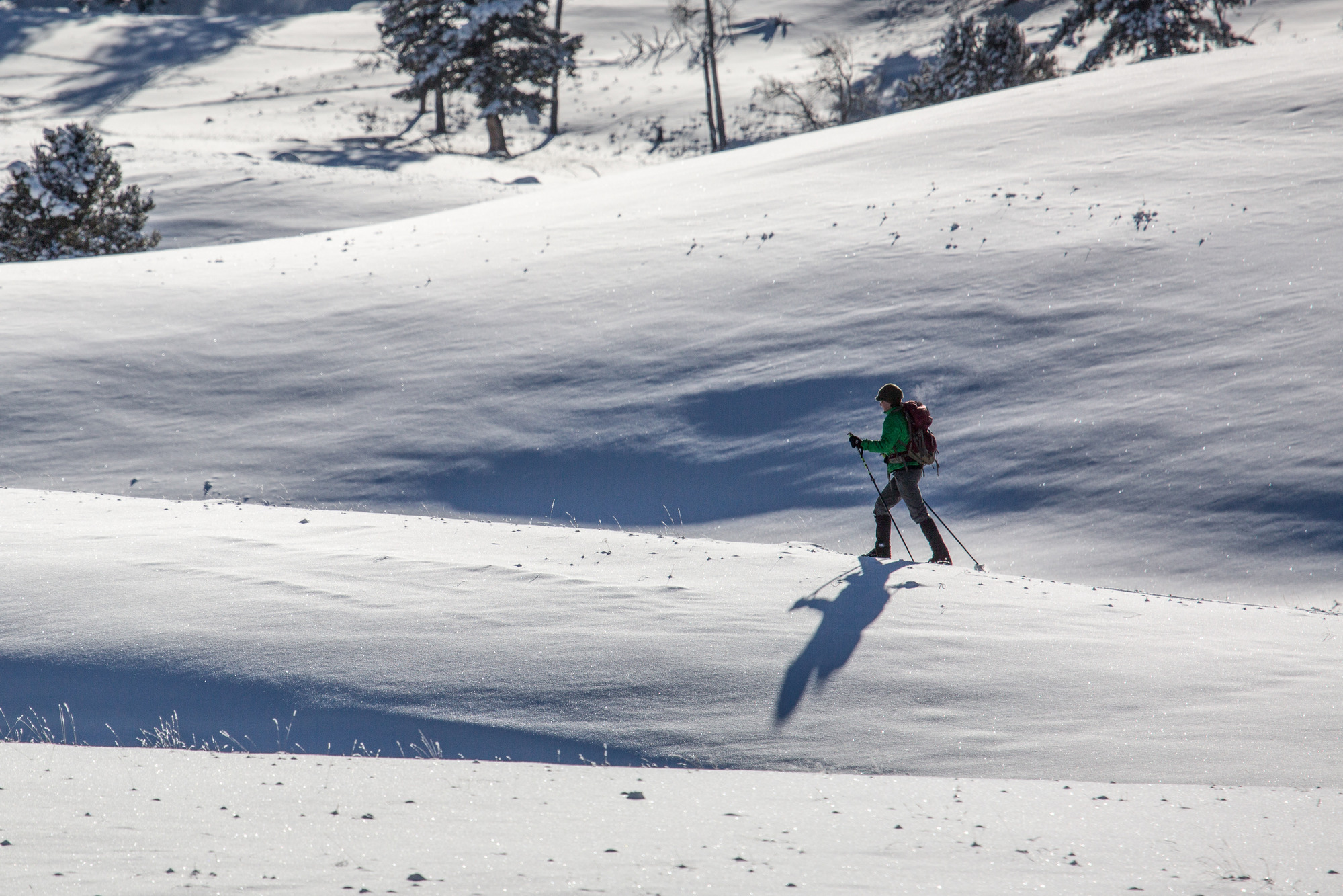 One skier skiing across a snowcovered, undulating  hill