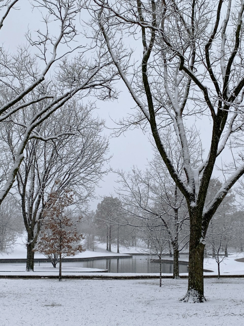 Snow surrounds the south pond on the ARch grounds