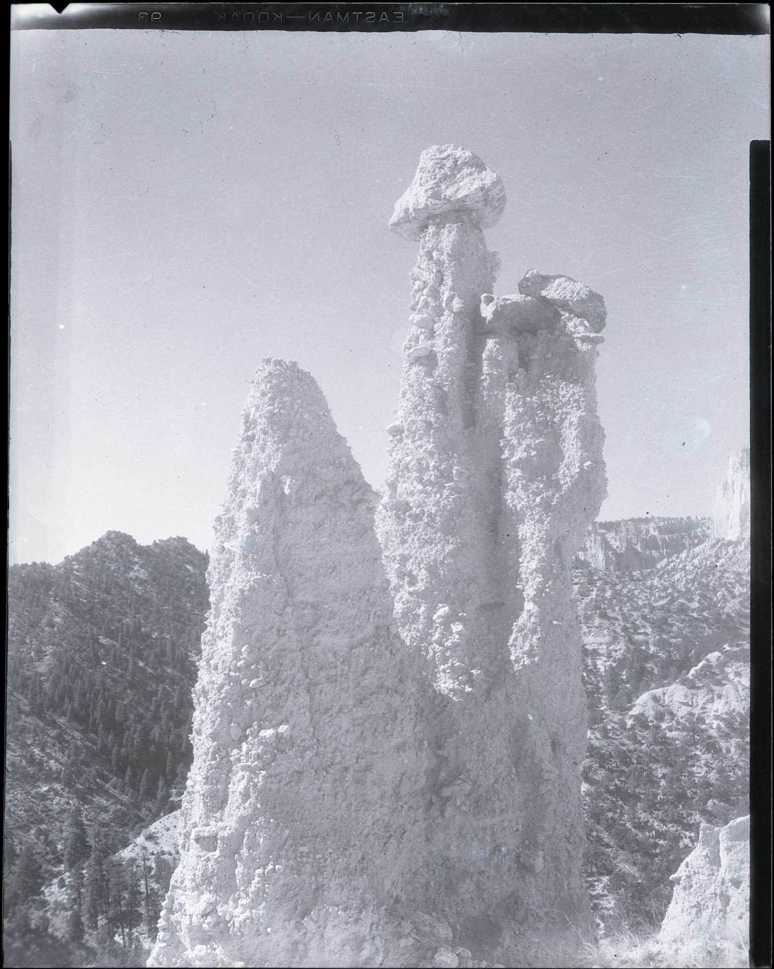 BRCA Museum and Archives Image