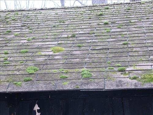 Replace Roofs on 13 Structures Cabin Camp 3