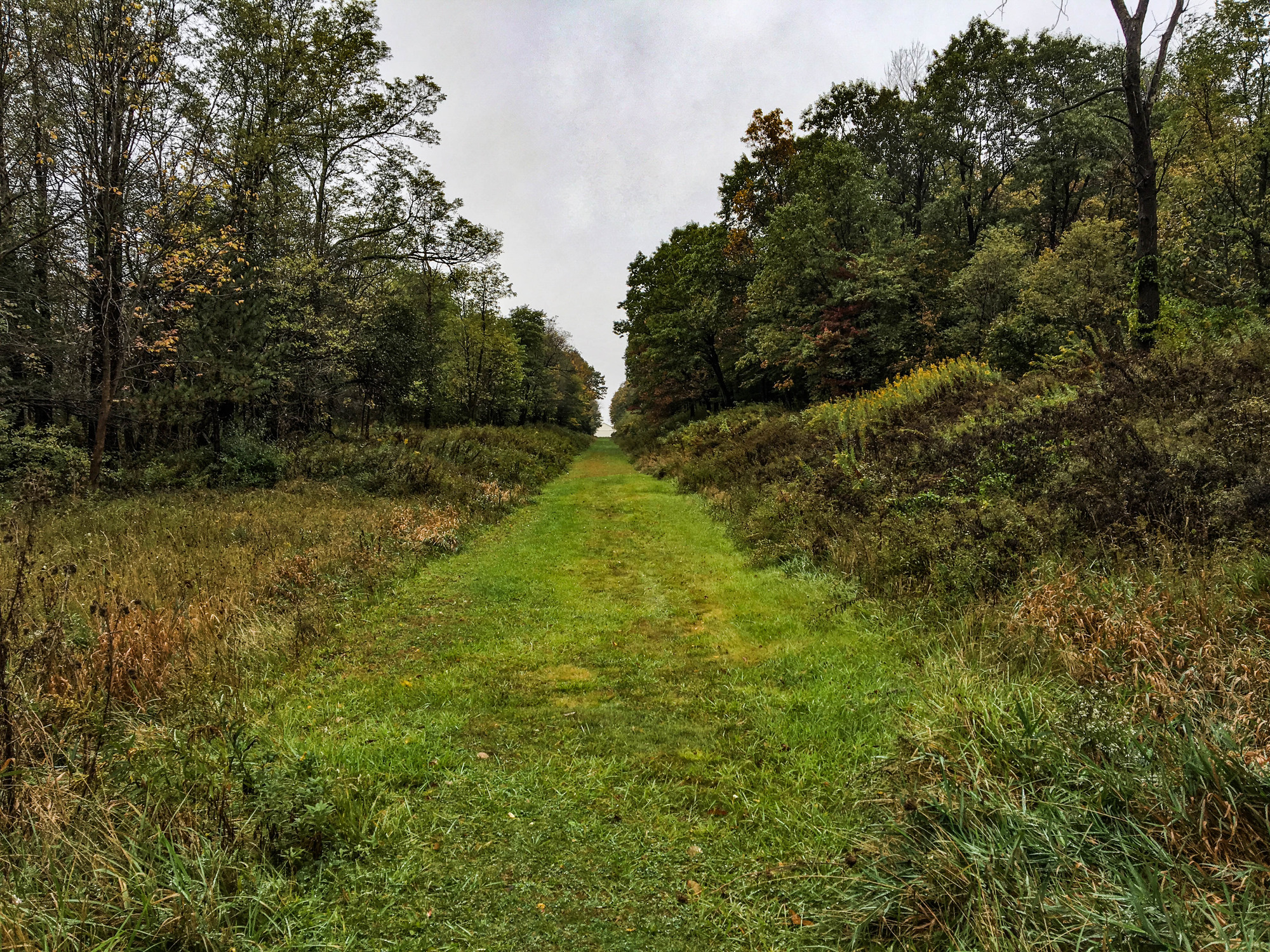 Grass trail leading up a hill