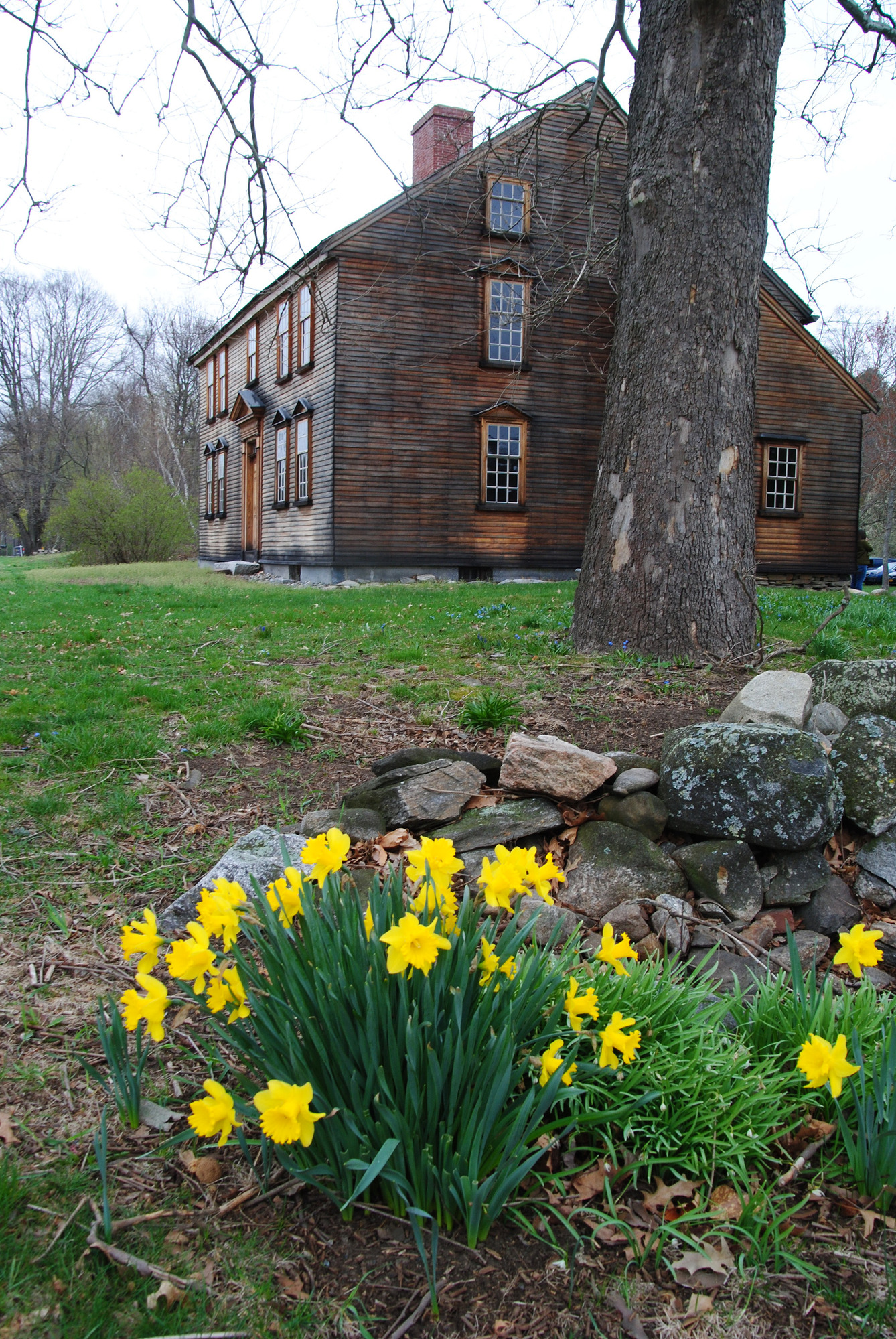 photo of Barrett farmhouse from the side, with tree in foreground. 