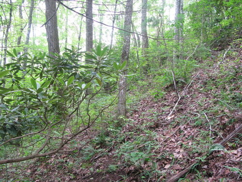 GRSM Accuracy Assessment. Plot Code: GRSM_AA_0088_4