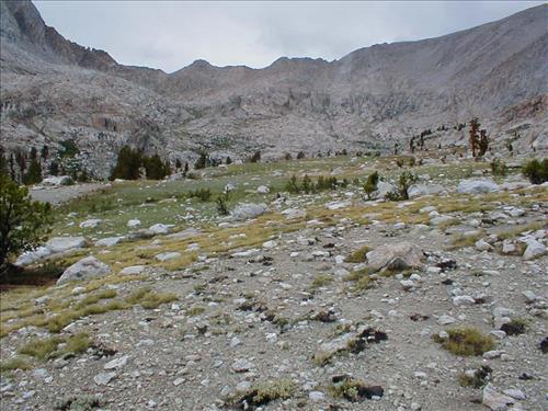 Colby Pass Meadow in July. 2003, Sequoia and Kings Canyon National Park
