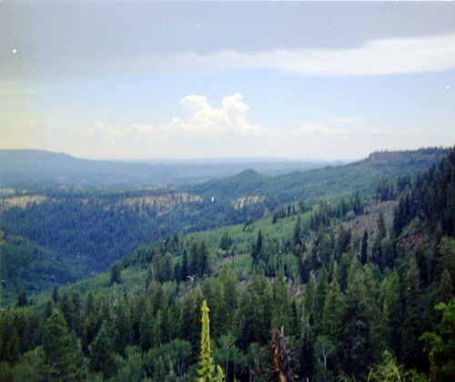 Color Photos of Zion Canyon.
