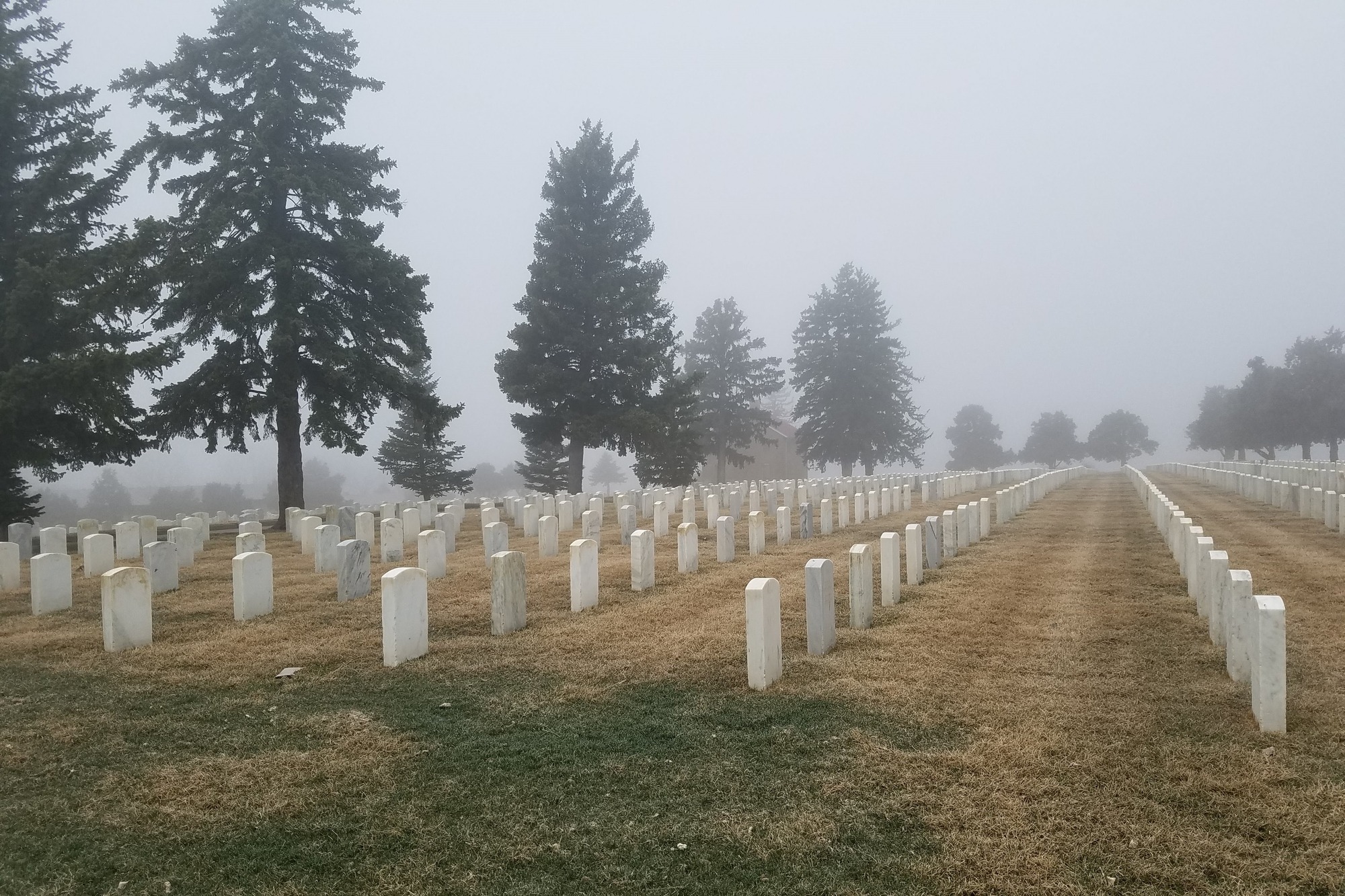 Unsaturated ambient light illuminates a cemetery with rows and rows of marble textured gravestones. Somber conifers and a few deciduous trees intermingle with the graves and form a back border. The vague outline of the library building can be seen between the trees in the distance.