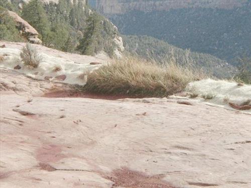 Erosion control mechanisms above cliff dwellings following the Long Mesa fire, Mesa Verde National Park