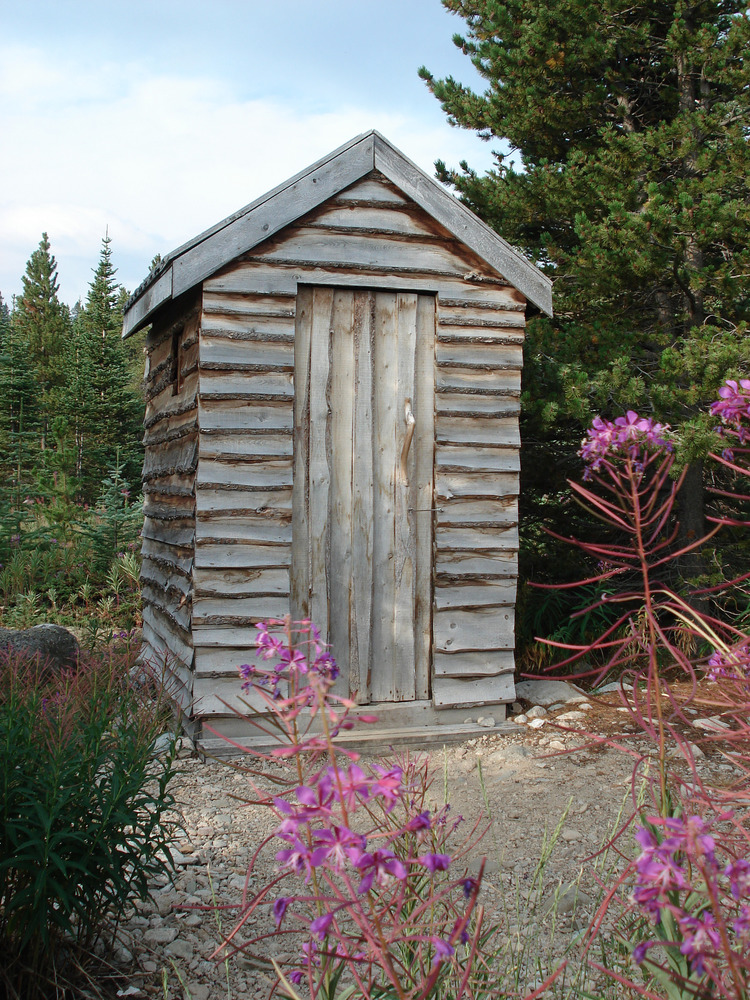 Small wooden outhouse with fireweed in front