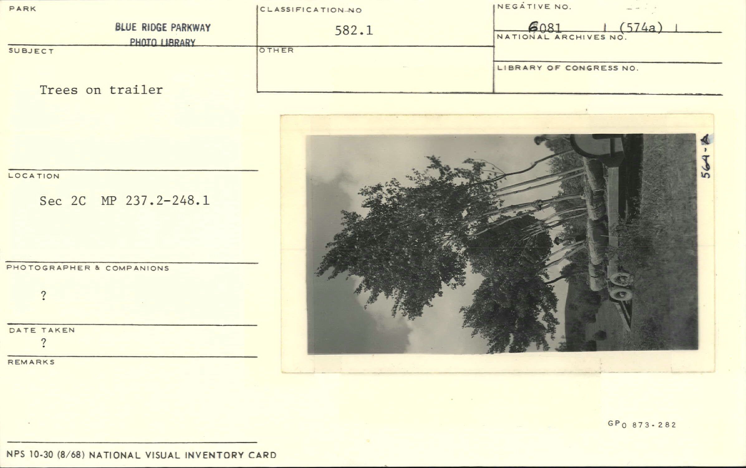 Trees loaded on trailer