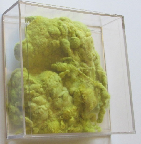 Yellow felted wool in clear plastic case