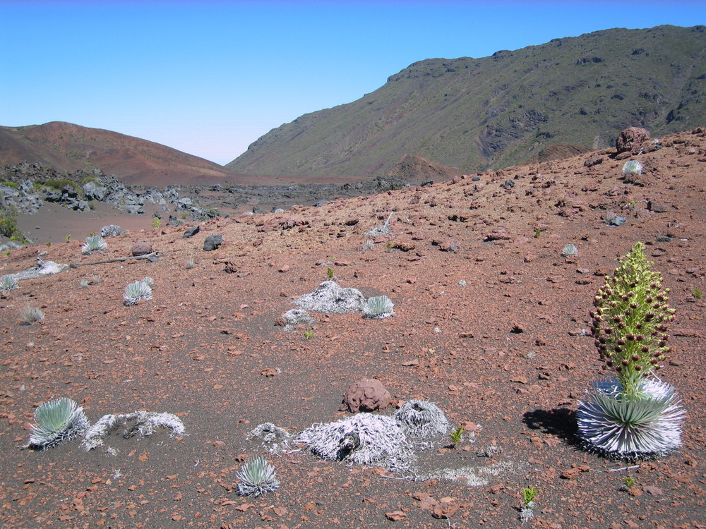 Civilian Conservation Corps (CCC) Haleakala Crater Trails District