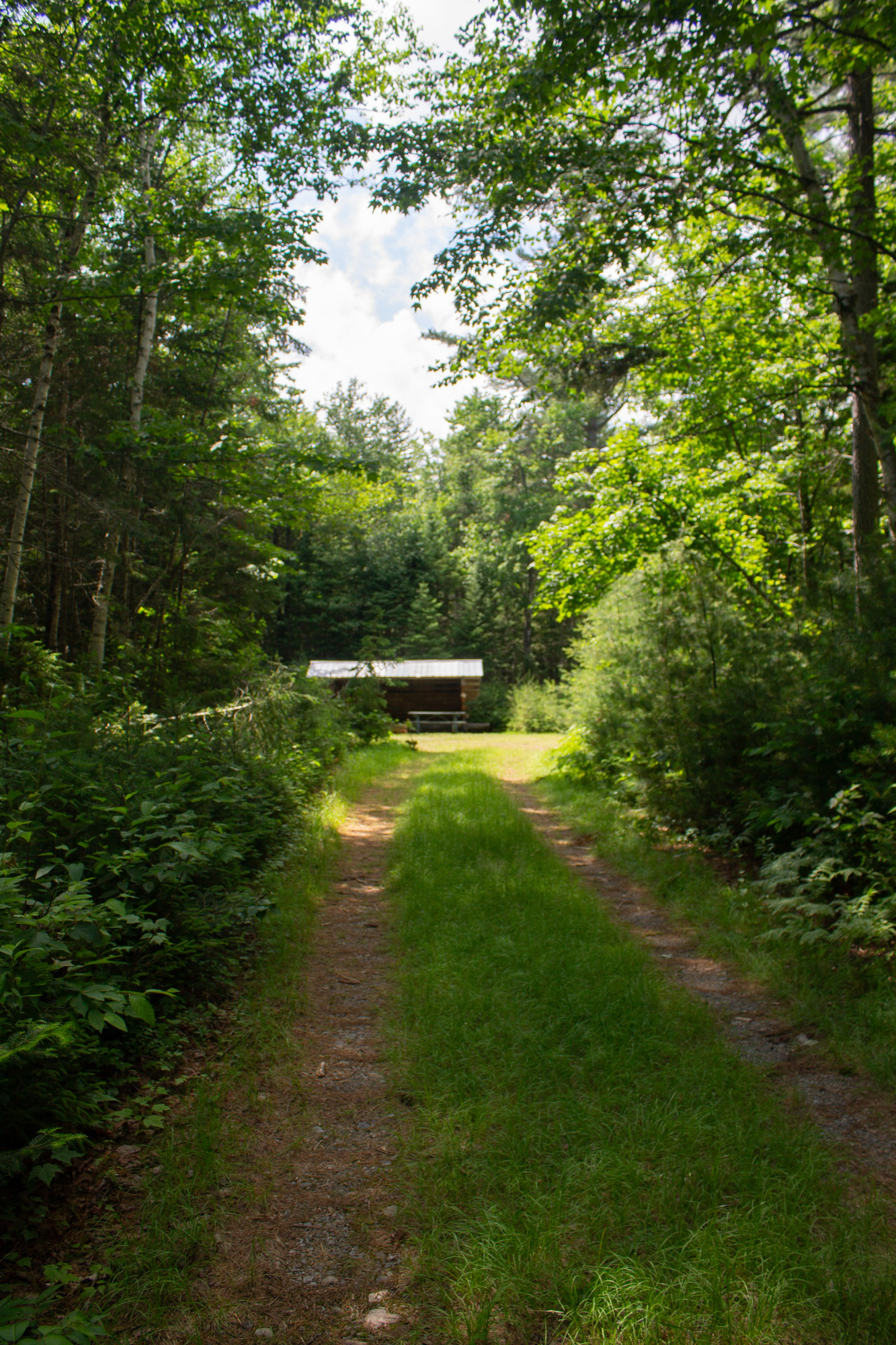 A grassy trail with Wassataquoik lean-to in the distance.