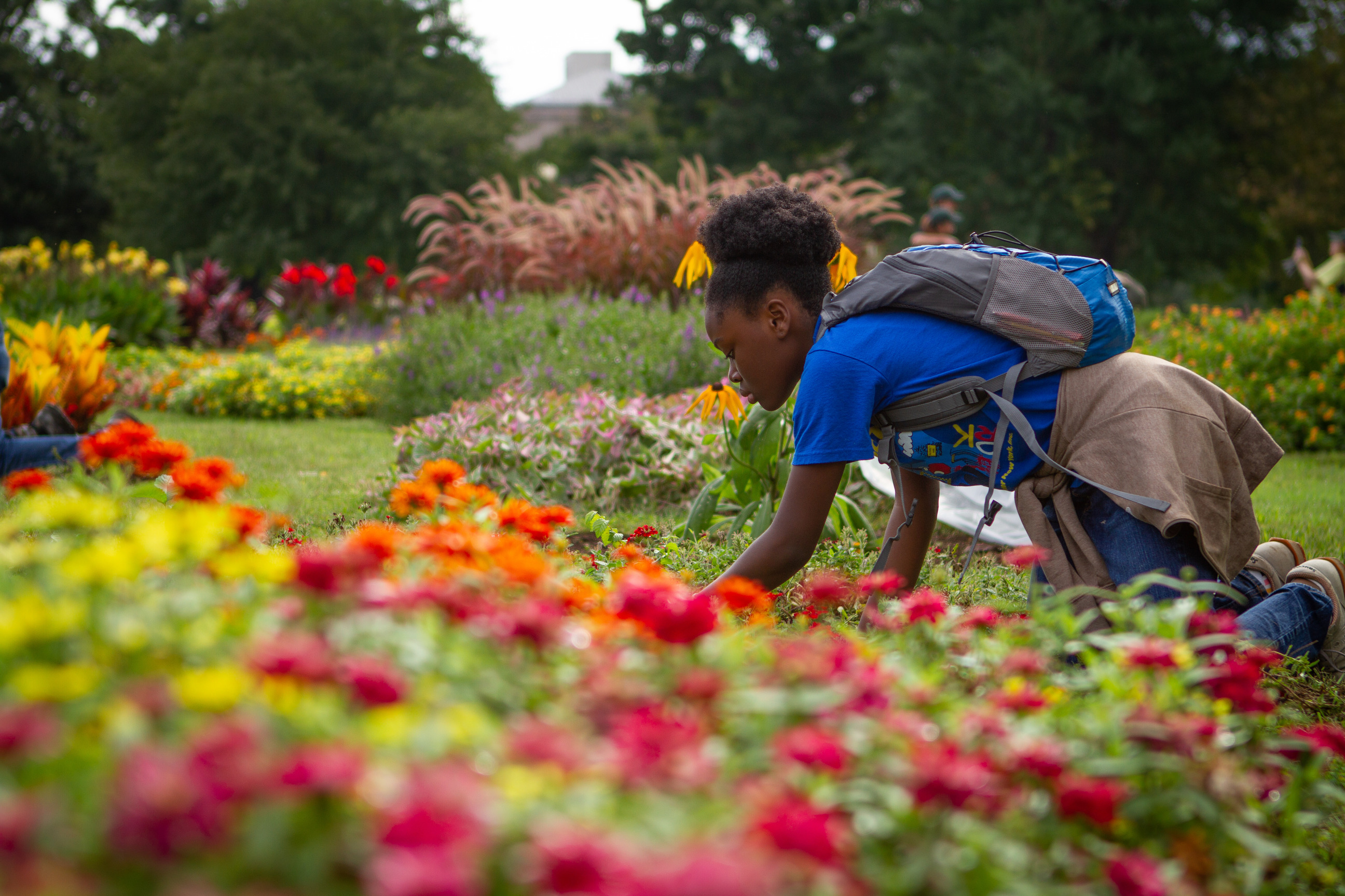 A kneeling girl works in a flower bed.