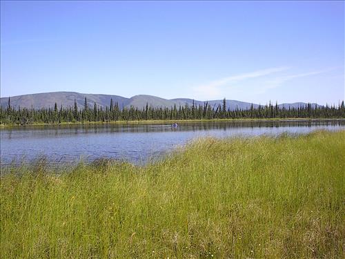 1 Yukon-Charley Rivers National Preserve Water Quality Ponds 2003