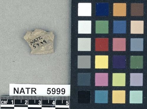 NATR    5999 -- Untyped projectile point