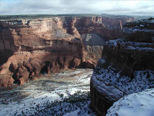 Exotic Species Removal Planning at Canyon de Chelly National Monument, Chinle, AZ - View at Face Rock Overlook