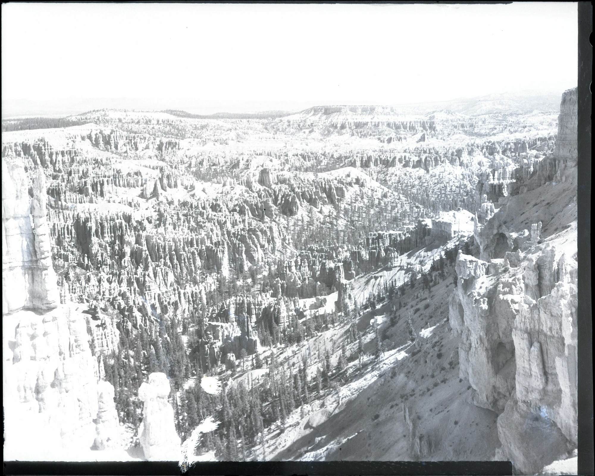 BRCA Museum and Archives Image