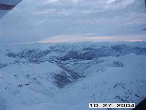 1 Gates of the Arctic National Park and Preserve Koyukuk Moose Survey 2004