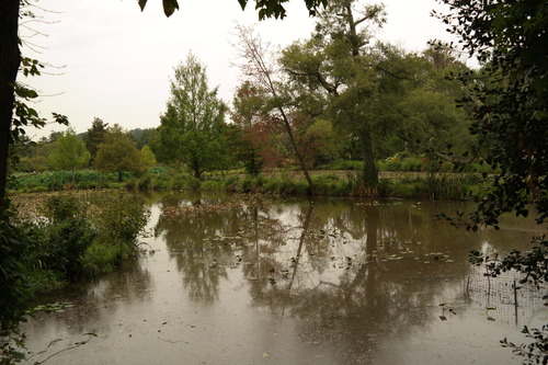 Kenilworth Aquatic Gardens