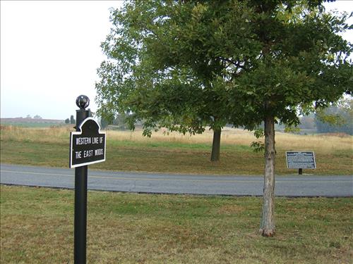 East Woods reforestation area at Antietam N.B.