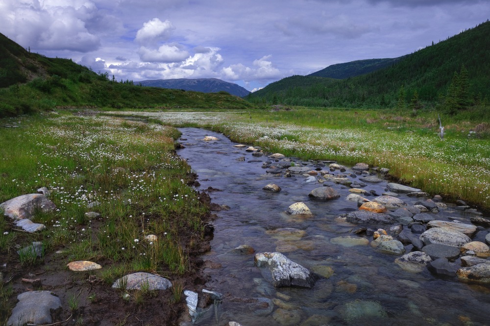A creek flowing through a field with rocks peeking out.