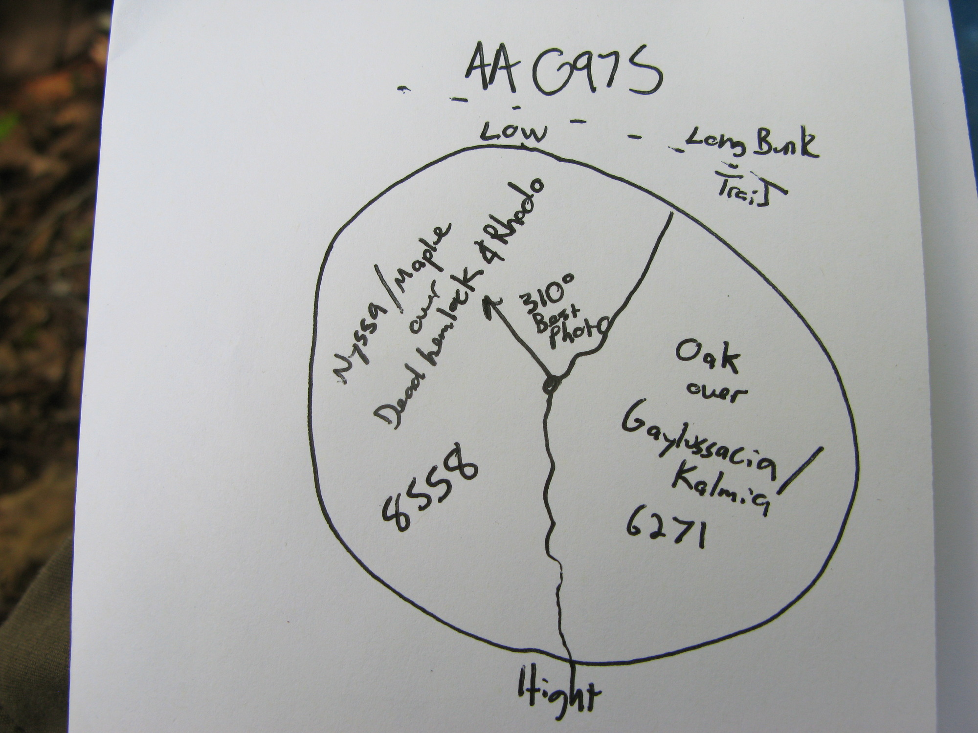 GRSM Accuracy Assessment. Plot Code: GRSM_AA_0975_7